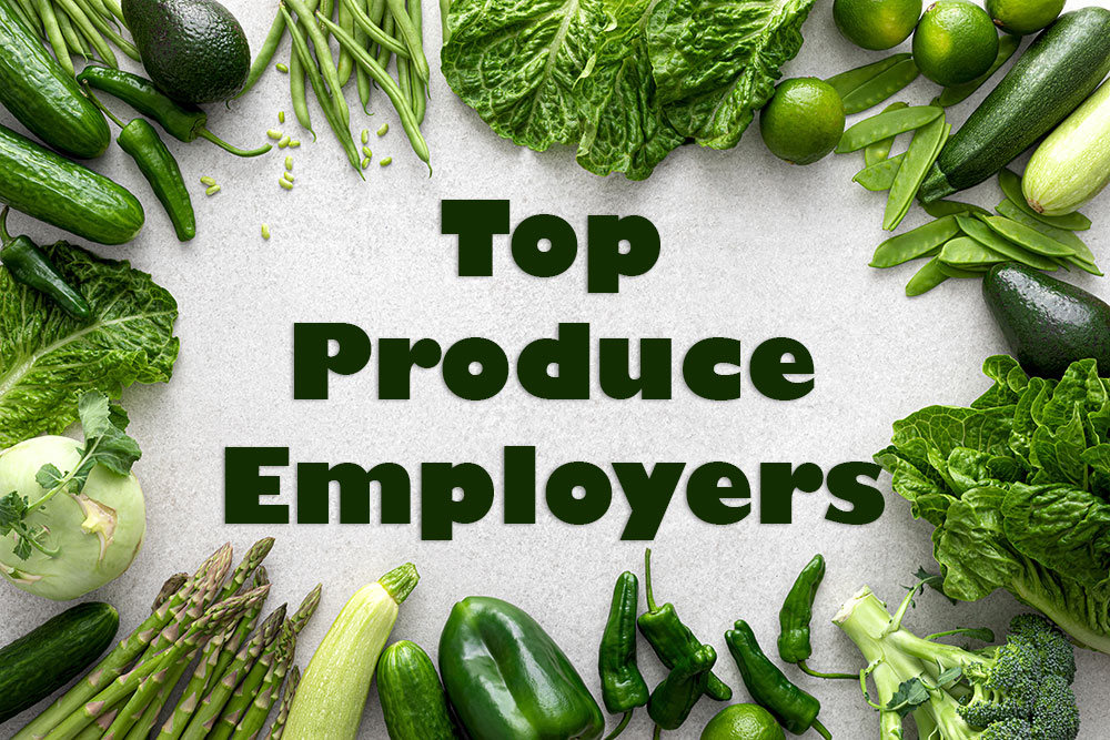 top produce employers at blueskysearch
